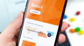 project-6-1-780x1109-1-min